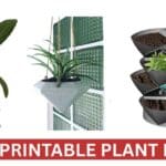 3D printable plant pots stacked on a windowsill – ideal for small apartments in 2025.