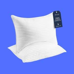 Beckham Hotel Collection Bed Pillows Standard, Queen Size Set of 2