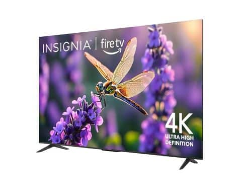 INSIGNIA 65″ Class F50 Series LED 4K UHD Smart Fire TV