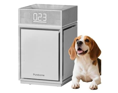 Pureborne Air Purifier for Large Room