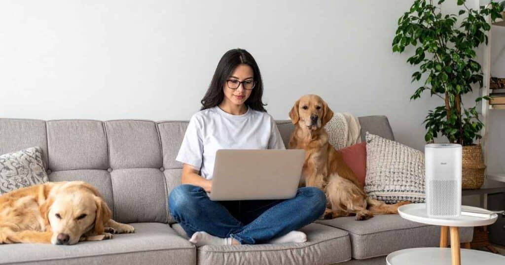 Ultimate Guide: Best Levoit Air Purifiers for Pet Owners in Small Apartments (USA 2025-2026) - A cozy small apartment with a pet and a Levoit air purifier, showcasing fresh air and clean living space for pet owners in 2025-2026.