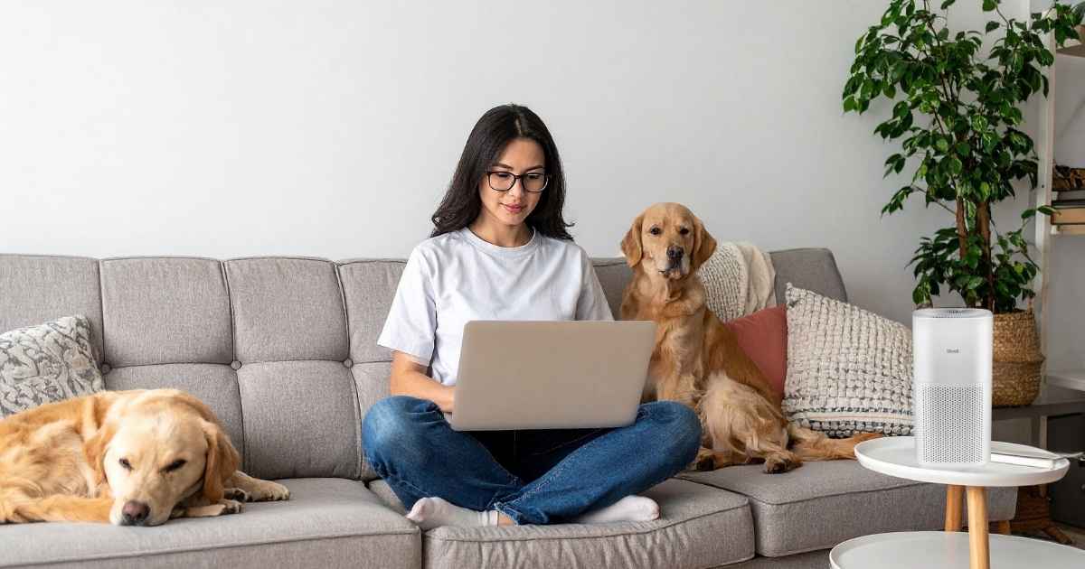 Ultimate Guide: Best Levoit Air Purifiers for Pet Owners in Small Apartments (USA 2025-2026)