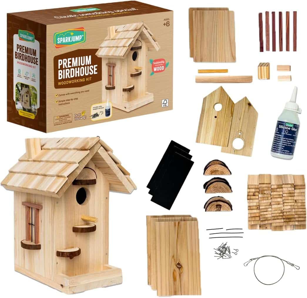 Unassembled wooden birdhouse kit pieces and completed painted birdhouse example