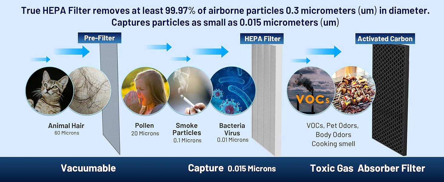 Jafanda JF1500 True HEPA 13 dual filtration system